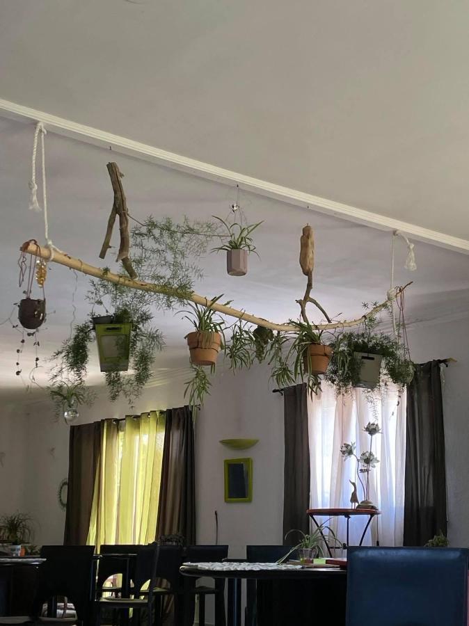 Arcantis Hotel La Gentillhommiere Trèbes Екстериор снимка